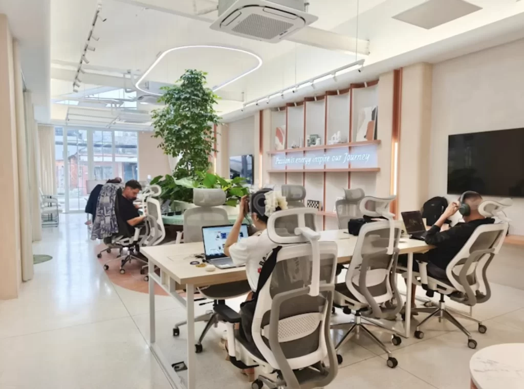synergy studio han river da nang